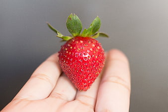 Fresh Red Strawberry Held in Hand on Gray Background