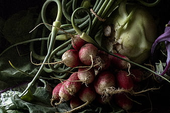 Fresh Harvest Radishes, Kohlrabi, and Kale in Dark Moody Style