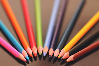 Colorful Pencils Arranged in a Fan Shape