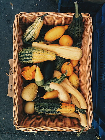 Top view of assorted heirloom squash in a wicker basket