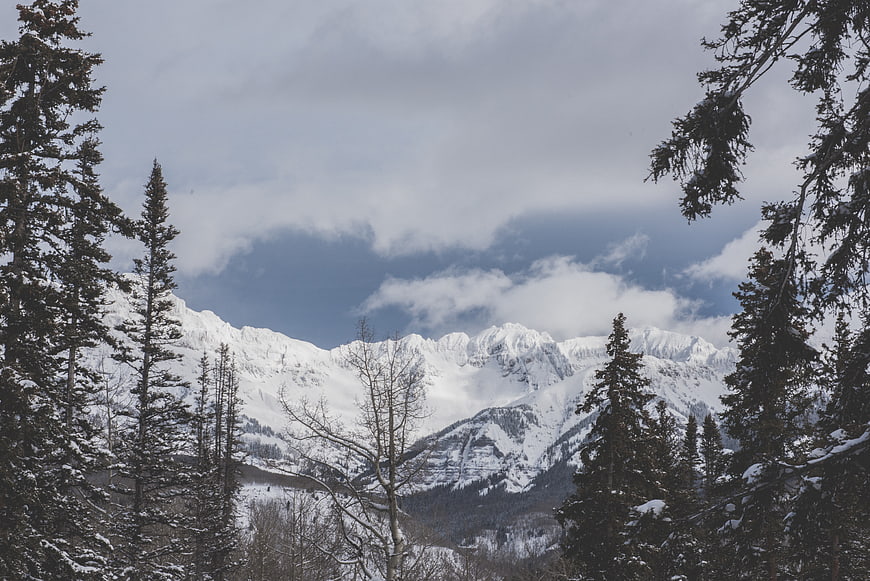 Snowy mountain peaks framed by pine trees in winter