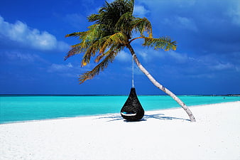 Tropical beach with hanging chair under palm tree