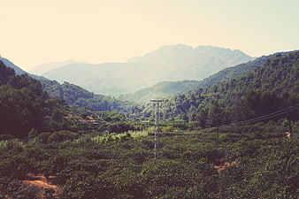 Scenic Mountain Valley with Tea Plantations and Power Lines