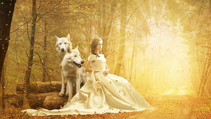 Woman in white dress with two white wolves in autumn forest