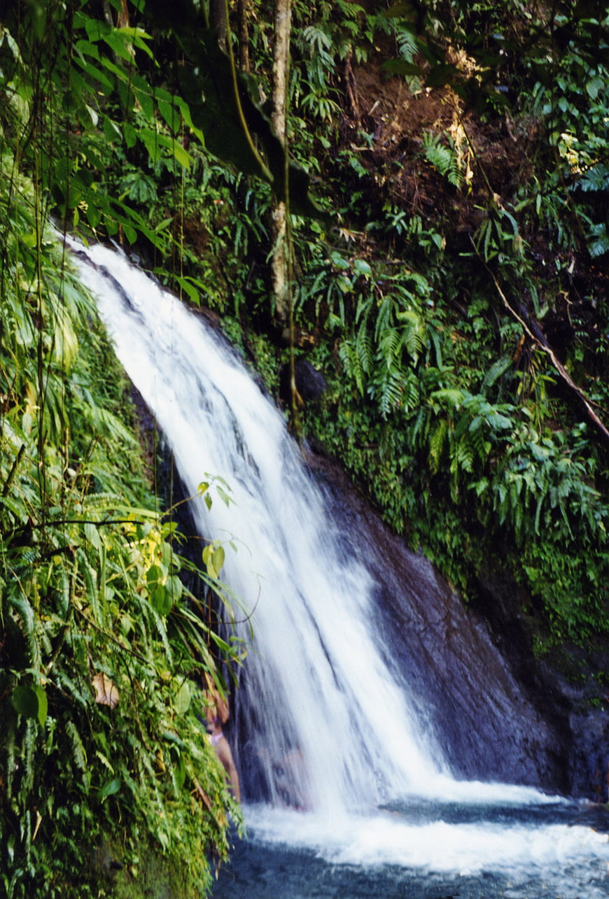 Lush tropical waterfall cascading through dense green forest