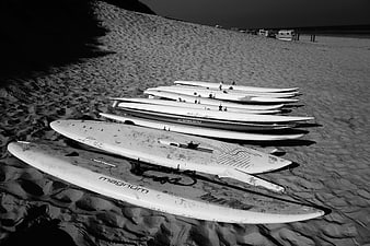 Row of surfboards resting on sandy beach dunes