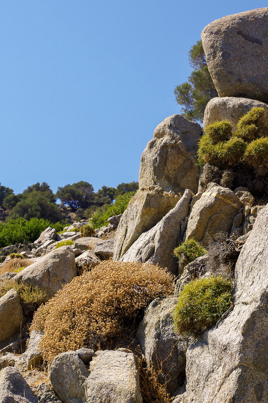 Rugged rocky landscape with dry shrubs and blue sky