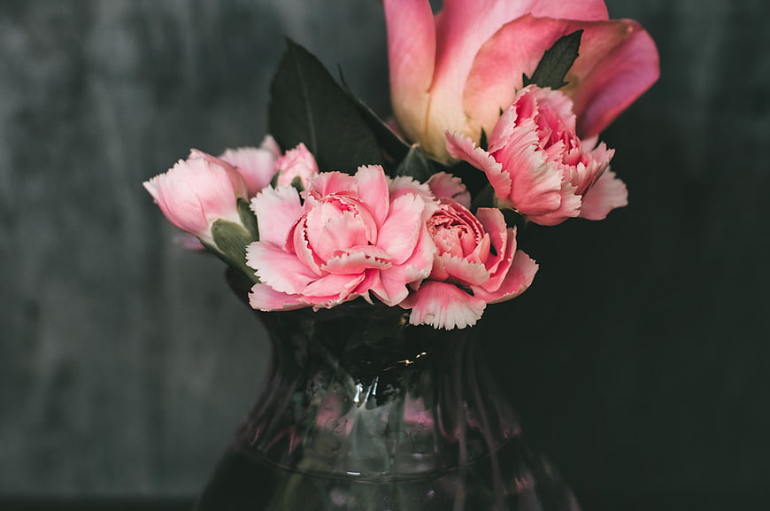 Pink Carnations and Rose in Glass Vase