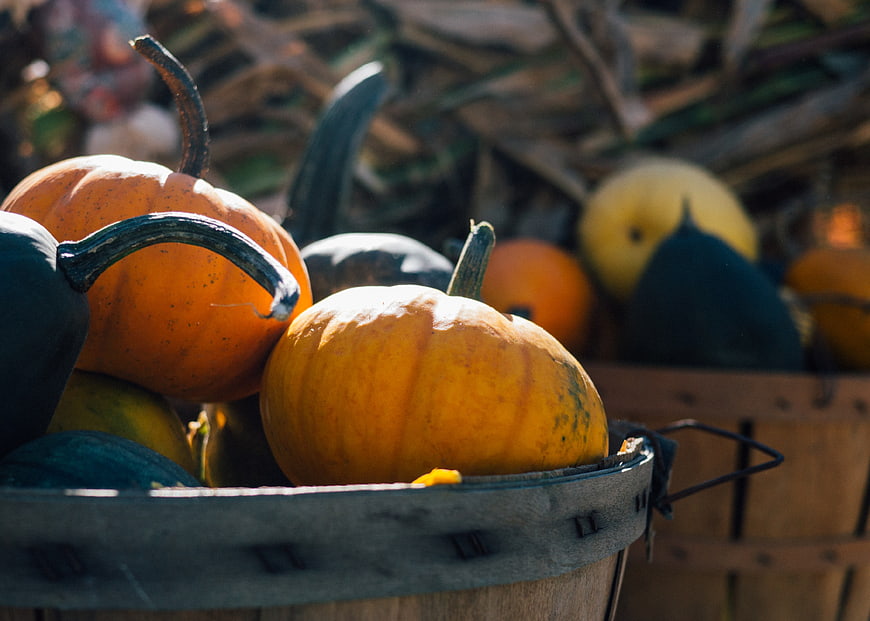 Autumn Harvest Pumpkins in Wooden Basket