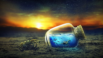 Surreal crab and ocean in a bottle on sandy beach at sunset