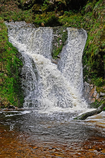 Mossy waterfall cascading into a forest stream