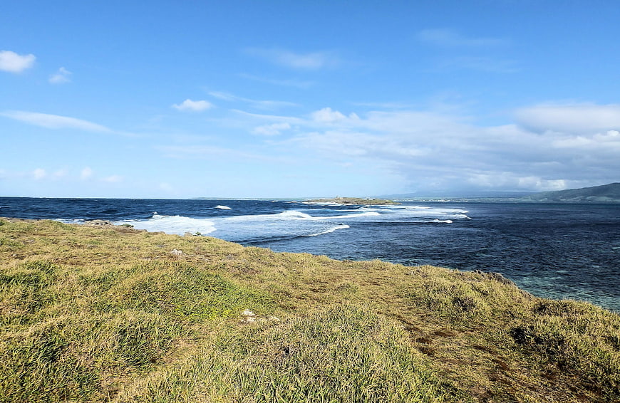 Grassy Coastal Cliff Overlooking Blue Ocean and Waves