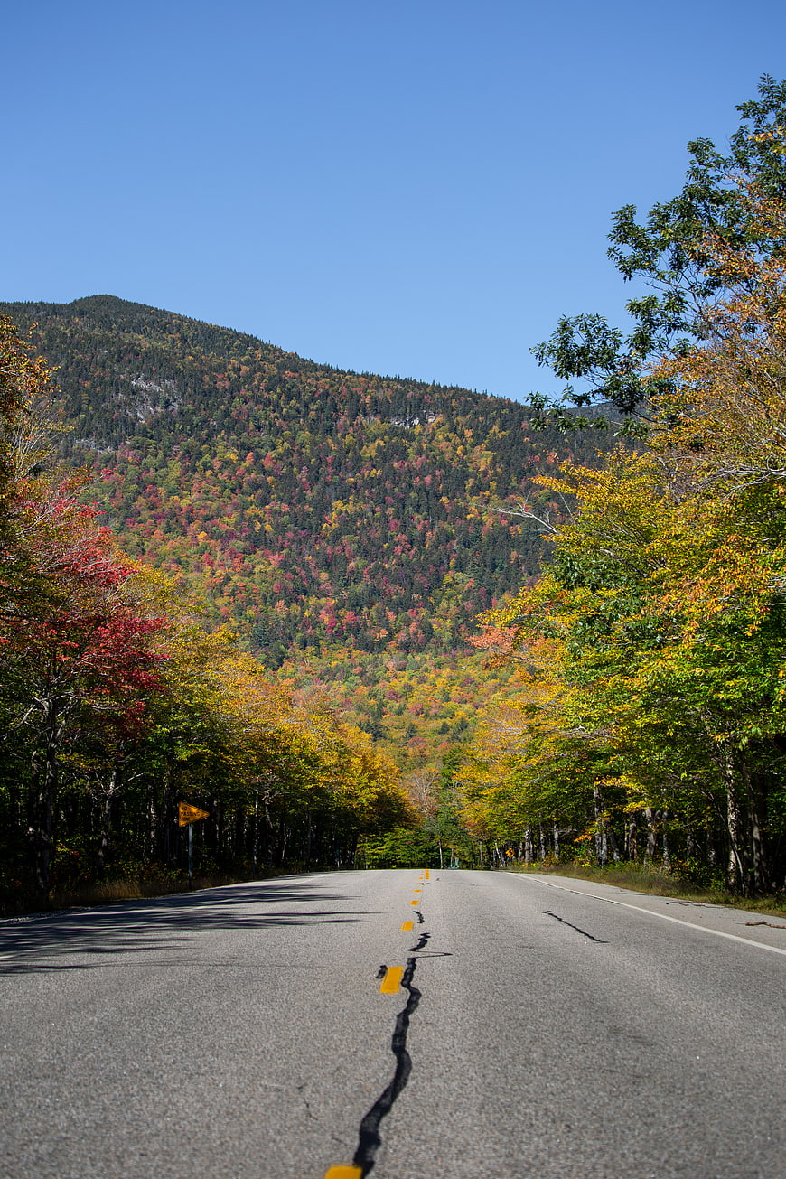Scenic autumn road winding through colorful mountain forest