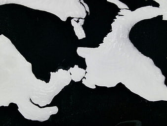 Abstract black and white ice texture pattern