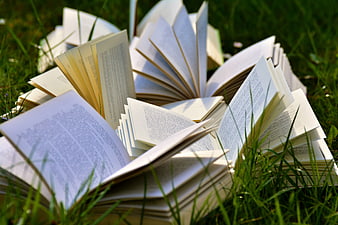 Open Books Scattered on Green Grass in Sunlight
