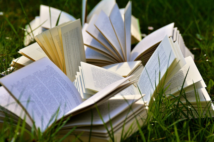 Open Books Scattered on Green Grass in Sunlight