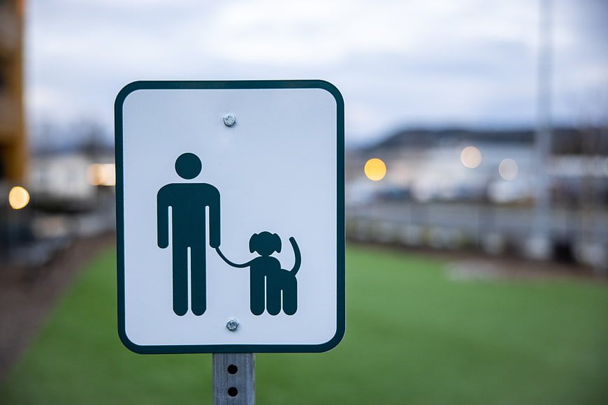 Dog Walking Sign on Green Grass with Blurred Background