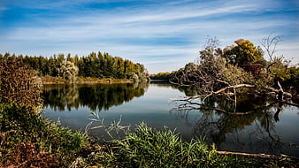 Serene Autumn River Landscape with Tree Reflections