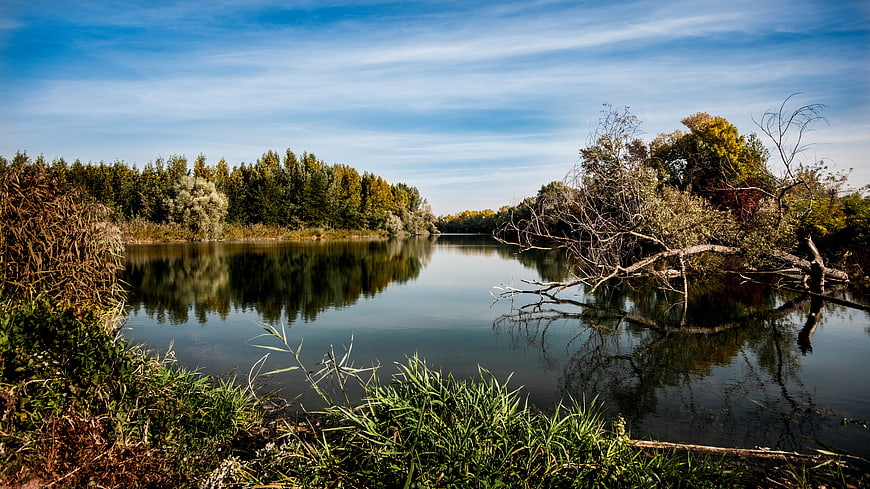 Serene Autumn River Landscape with Tree Reflections