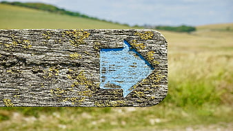 Weathered wooden signpost with blue arrow in rural landscape