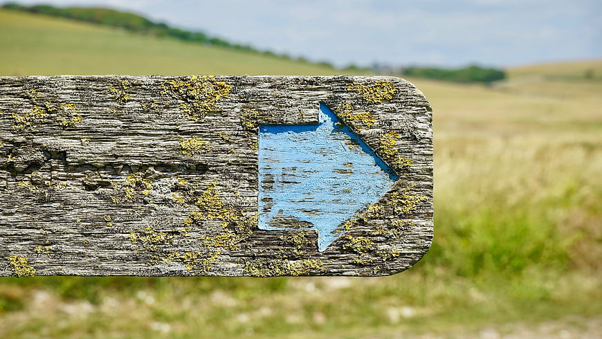 Weathered wooden signpost with blue arrow in rural landscape
