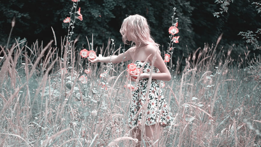 Woman in Floral Dress Touching Red Flowers in Field