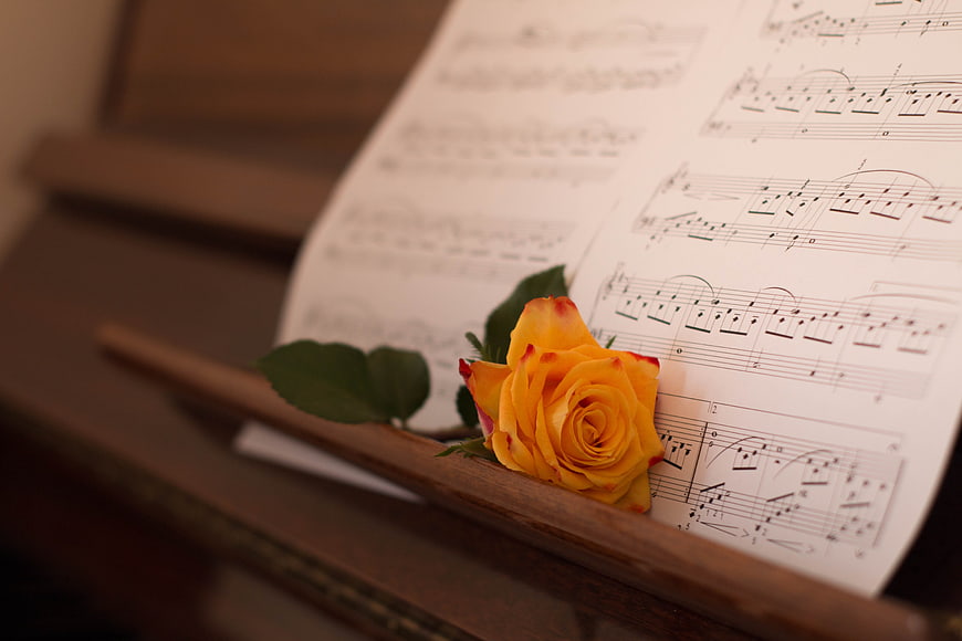 Yellow rose resting on piano sheet music