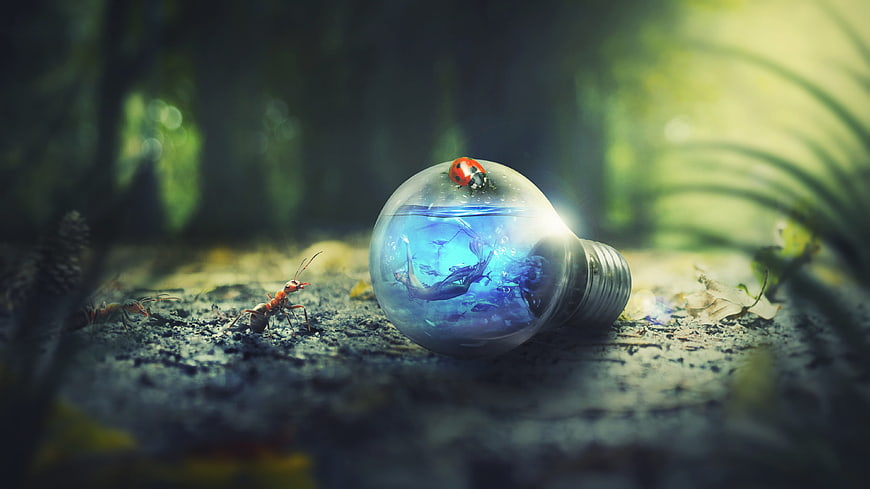 Fantasy light bulb with mermaid and insects in forest