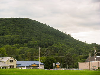 Green forested hill overlooking roadside businesses and grassy field