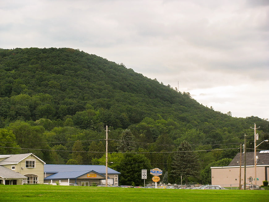 Green forested hill overlooking roadside businesses and grassy field