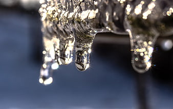 Close-up of melting icicles with sparkling water droplets