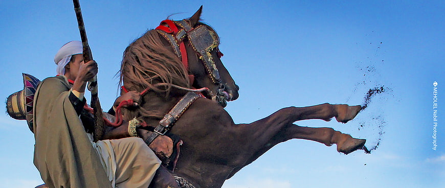 Algerian Fantasia Horseman Reining Horse Against Blue Sky