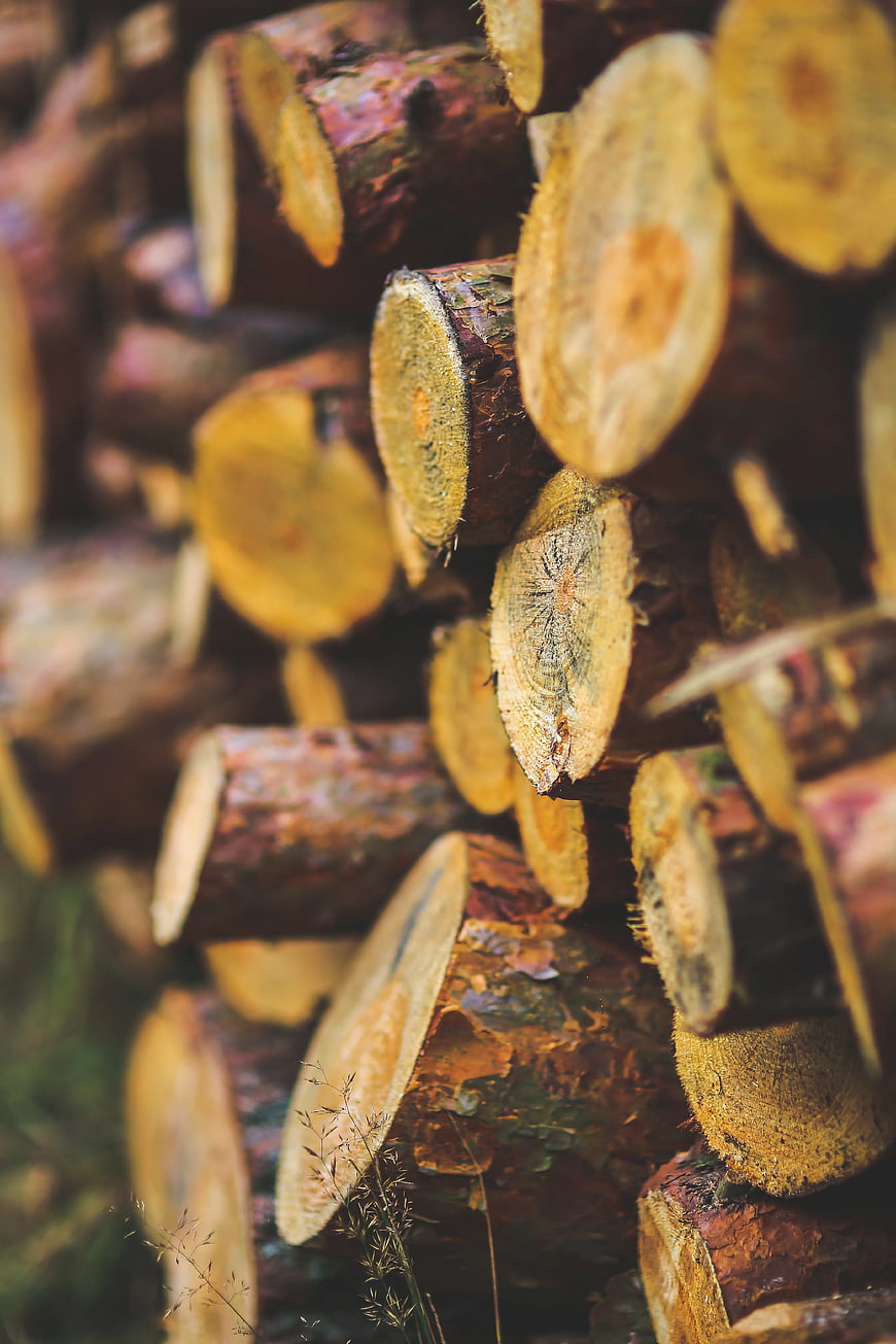Stacked firewood logs with shallow depth of field