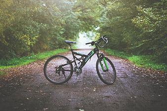 Mountain bike on a forest path in autumn