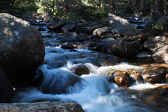 Flowing Mountain Stream Over Rocks in Forest