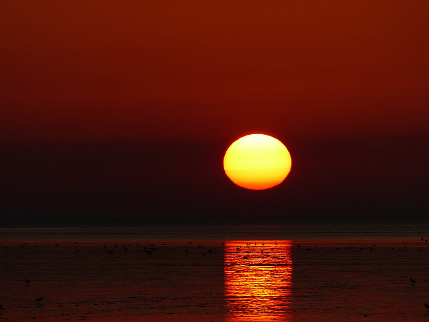 Vibrant Orange Sunset Over Calm Sea with Birds