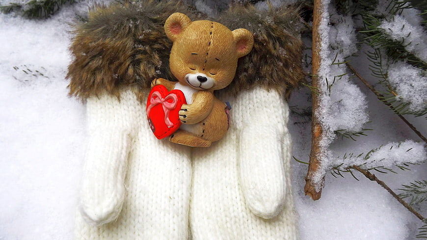 Teddy Bear with Heart in Winter Gloves on Snow