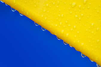 Yellow Surface with Water Droplets on Blue Background
