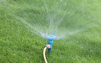 Blue Garden Sprinkler Watering Green Lawn Grass