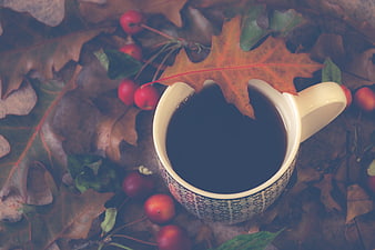 Autumn coffee cup with oak leaves and red berries