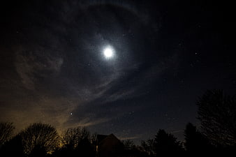 Full moon and starry night sky above silhouetted winter trees and house