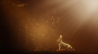 Magical Rabbit in Golden Forest with Sunbeams