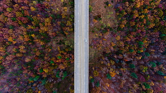 Aerial View of Car Driving on Road Through Autumn Forest