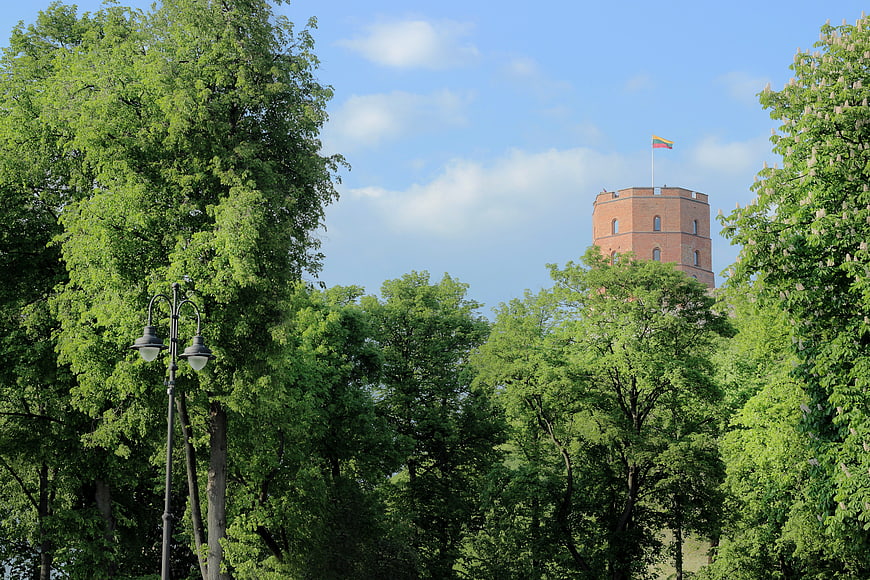 Vilnius Gediminas Tower through green summer trees
