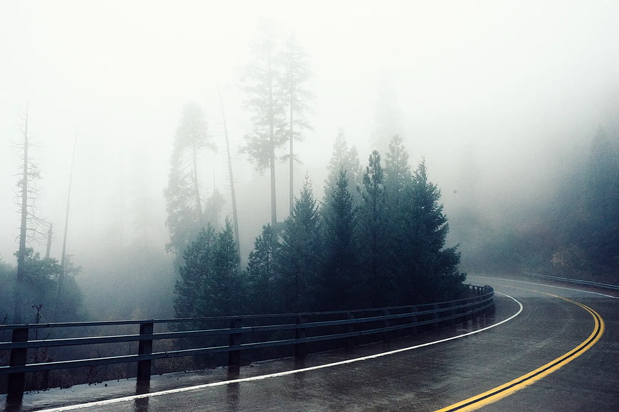 Winding Road Through Foggy Forest with Tall Trees