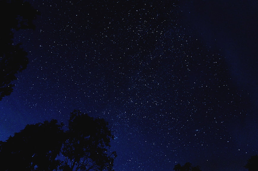 Starry Night Sky With Silhouetted Trees And Deep Blue Atmosphere