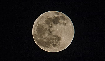 Full Moon in Night Sky with Craters