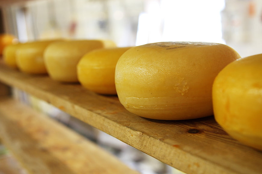 Wheels of yellow cheese aging on wooden shelves