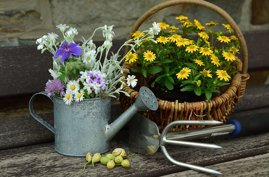 Rustic Gardening Still Life With Flowers And Tools
