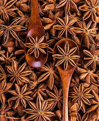 Star Anise Spices on Wooden Spoons Background
